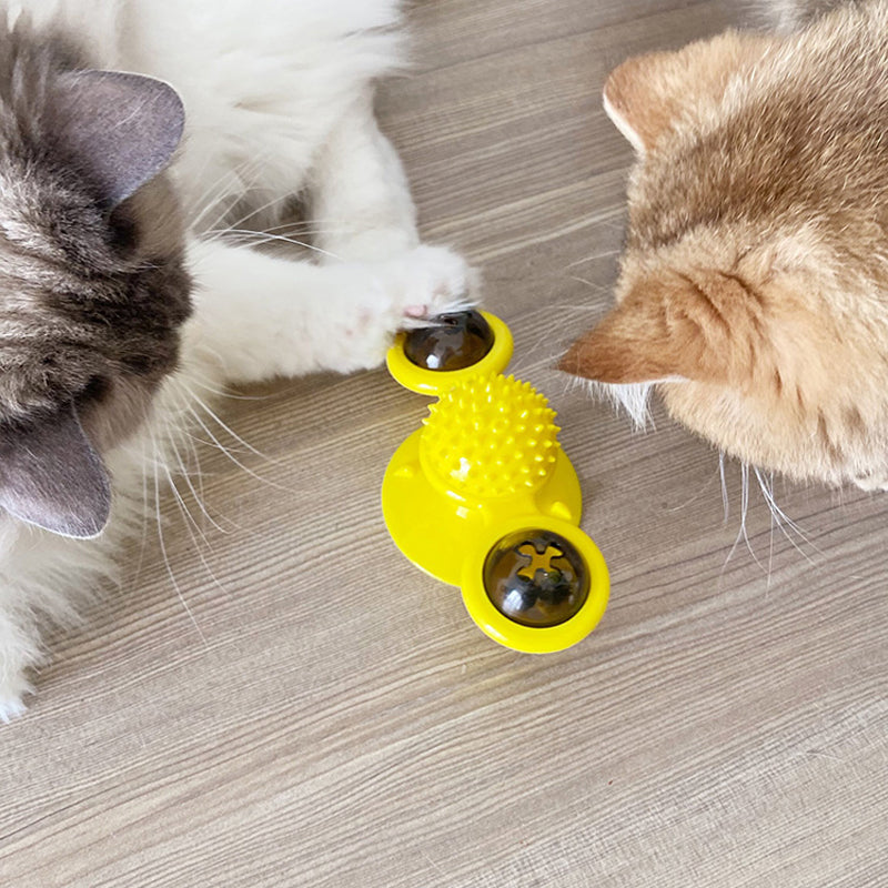 Windmolen Kattenspeeltje