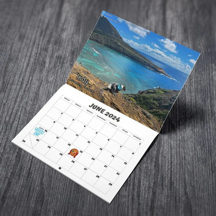 😆Grappigste kalender van de eeuw|"Artistieke expressie" van harige vrienden