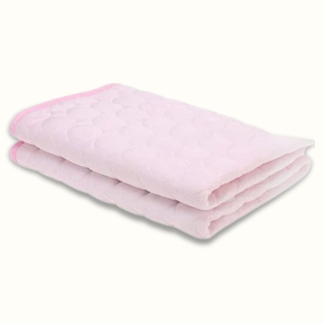 Bescherm uw hond tegen oververhitting!