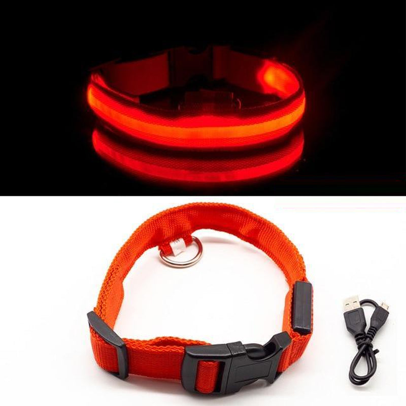 LED-halsband voor huisdieren
