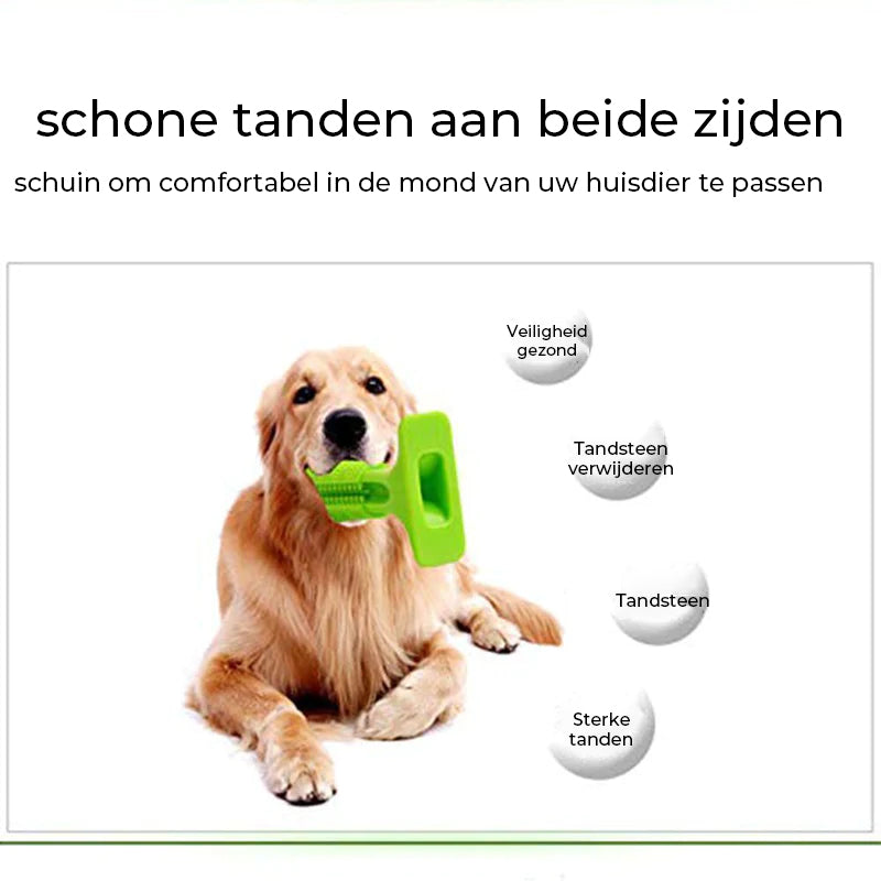 Tandenborstel voor honden