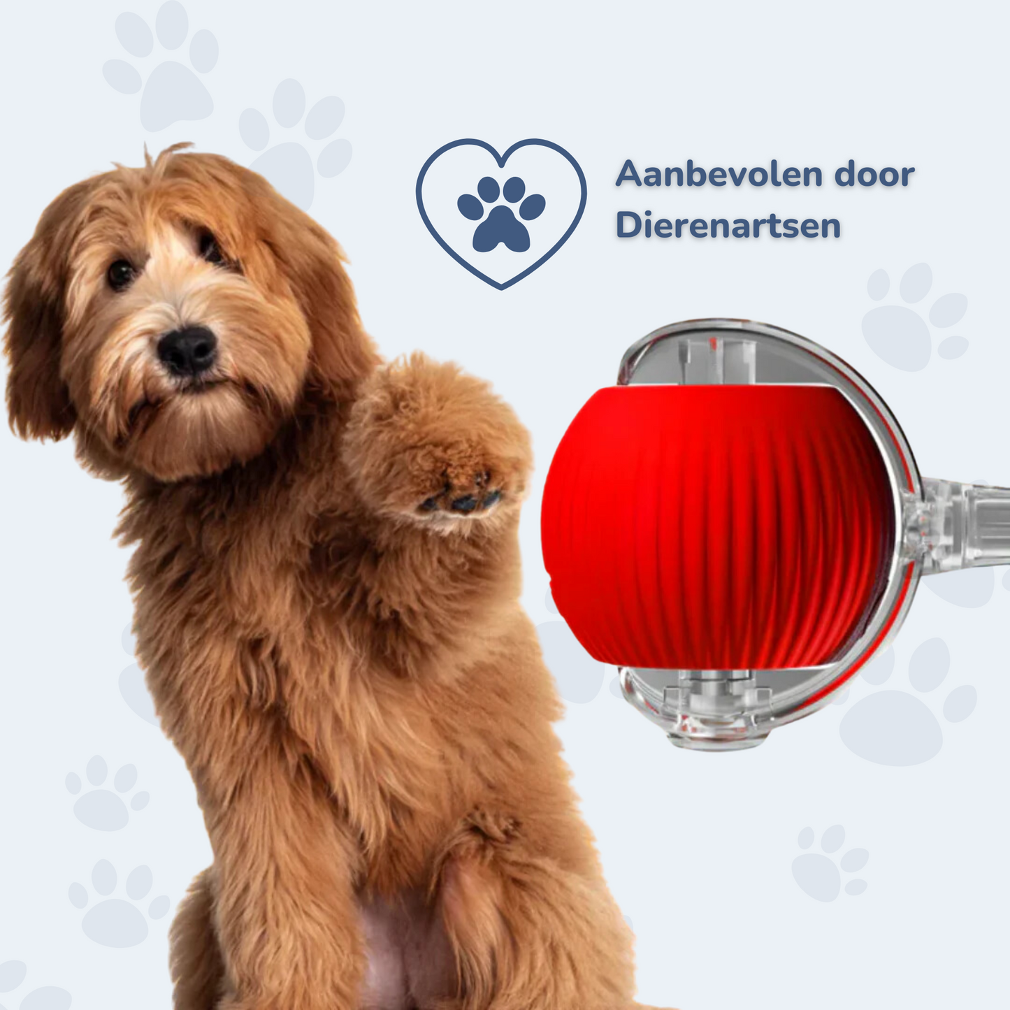 Magische hondenspeelbal