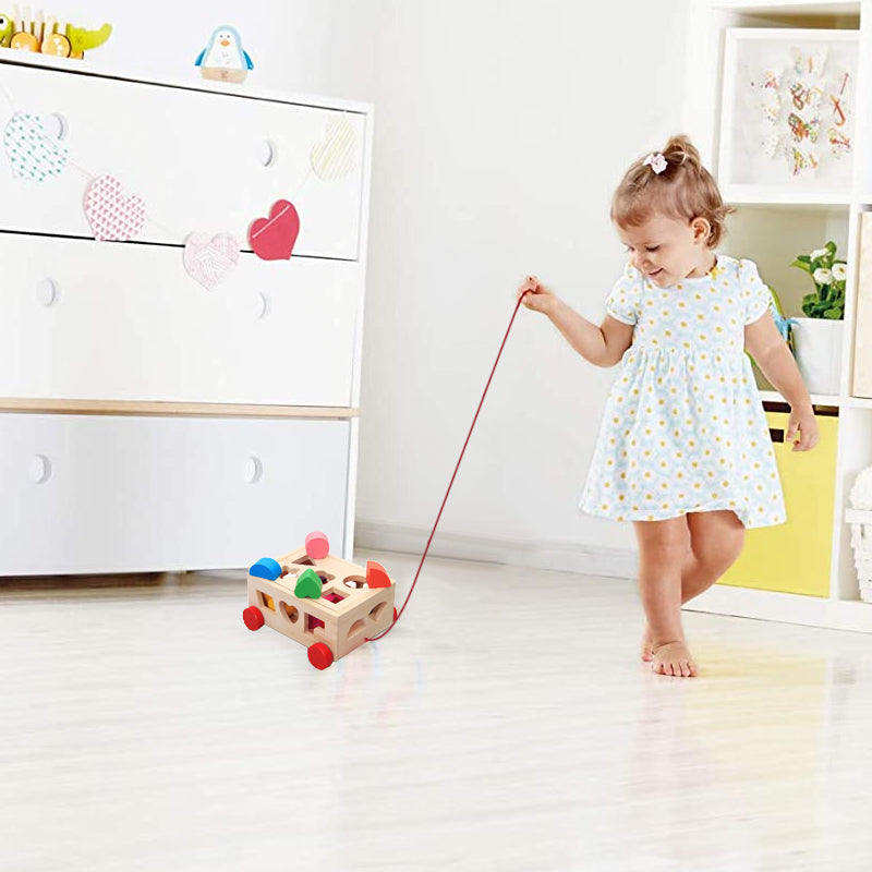 De Cube Car Houten Speelset (15 Vormen)