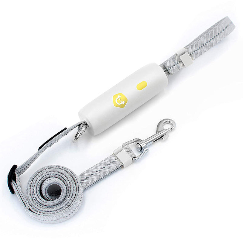 Makkelijke Lock reflecterende hondenlijn