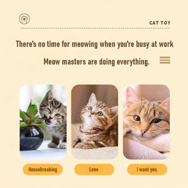 PawPlay – Interactieve bokszak voor katten