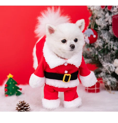 Jolly TailWagger Santa Claus Kostuum — Verspreid Vreugde, Verwarm Harten