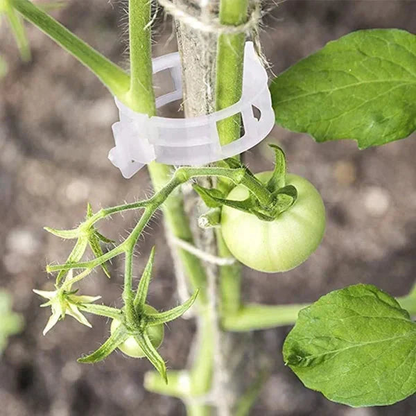 Ondersteuningsclips voor planten — Zachte bevestiging, Gezonde groei - 100 stuks