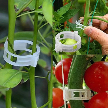 Ondersteuningsclips voor planten — Zachte bevestiging, Gezonde groei - 100 stuks