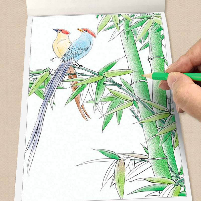 InkFlow™ – Traditioneel Chinees karakteralbum | 1+1 GRATIS