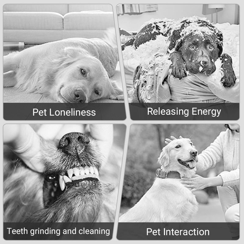 HuntSphere – Interactieve Jachtbal | 50% KORTING