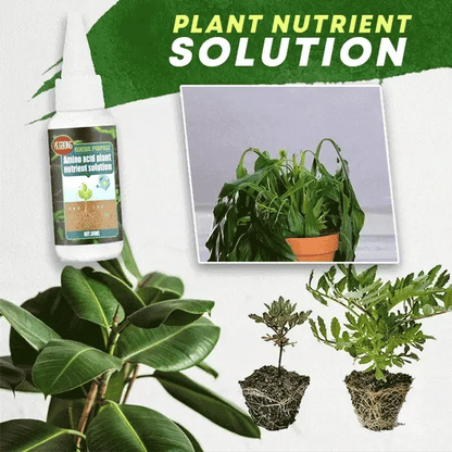 VitaBloom — Ontsteek Groei, Kleur, Leven