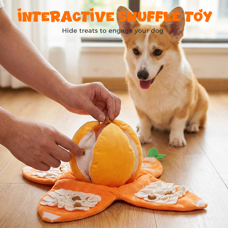 CitrusQuest — Interactief hondenspeelgoed | 50% KORTING