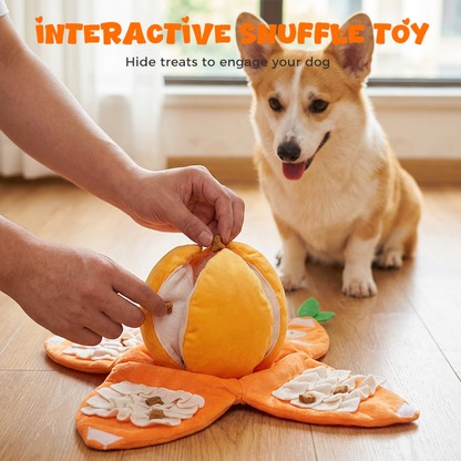 CitrusQuest — Interactief hondenspeelgoed | 50% KORTING