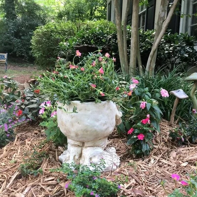 Muggly™ – Grappige Bloempot Vol Karakter  | 50% KORTING