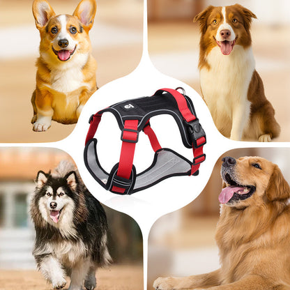 SafeWalk — Veilig Hondentuigje | 50% KORTING