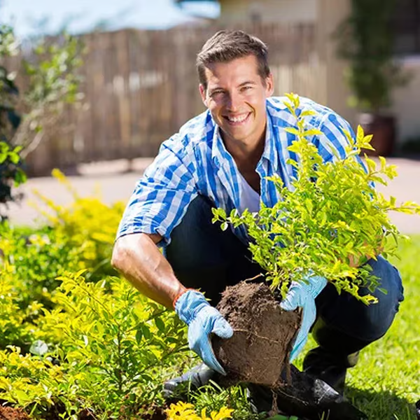 SoilGuard – Professioneel oplosmiddel 120 g | Koop 1+1 GRATIS