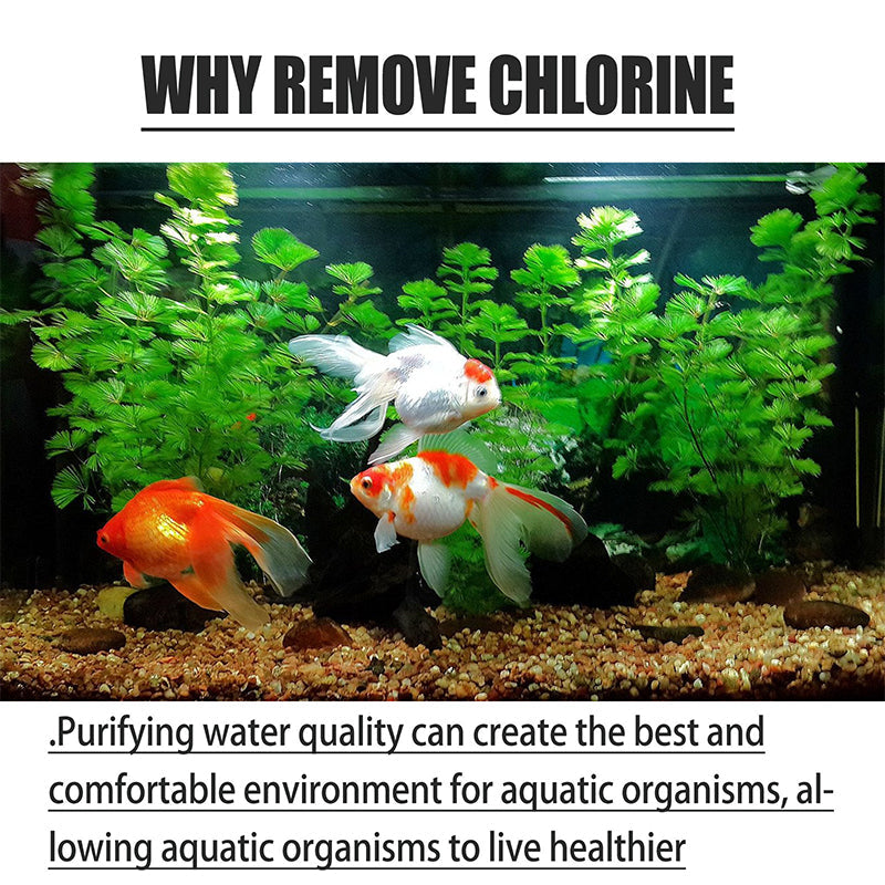 AquaPure — Chloorwerende Tabletten | 1+1 GRATIS
