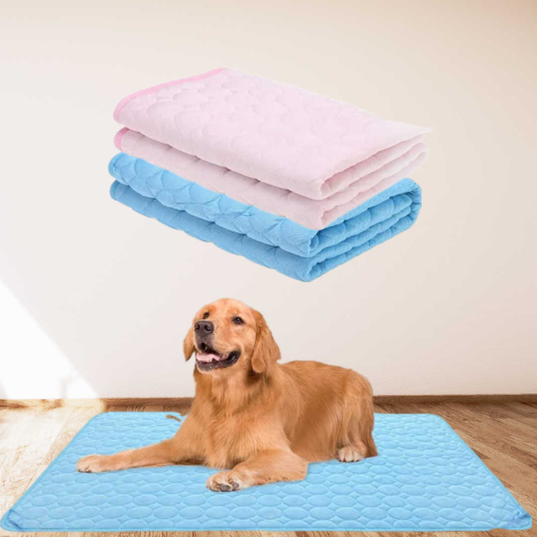 Bescherm uw hond tegen oververhitting!