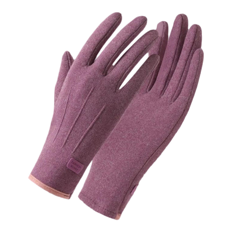 FrostGuard – Winddichte, Warme Handschoenen