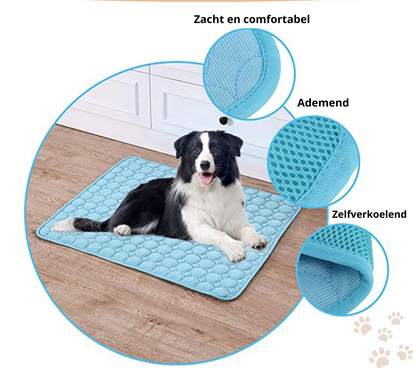 Bescherm uw hond tegen oververhitting!