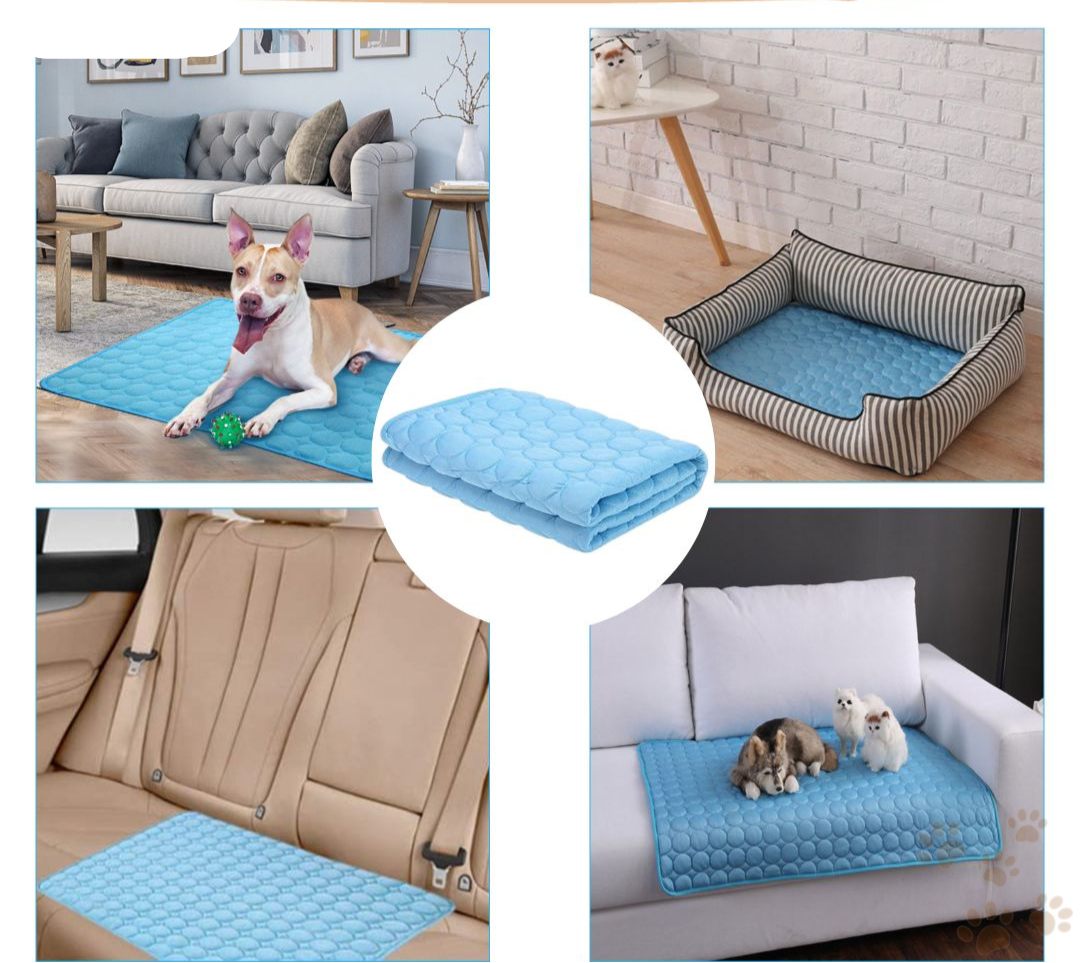 Bescherm uw hond tegen oververhitting!