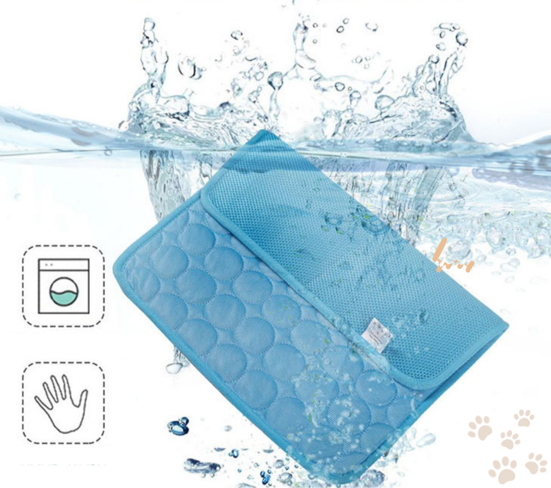 Bescherm uw hond tegen oververhitting!