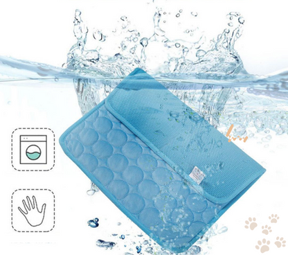 Bescherm uw hond tegen oververhitting!