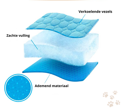 Bescherm uw hond tegen oververhitting!