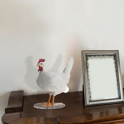 The CluckLight — Ontsteek Warmte, Inspireer Vreugde