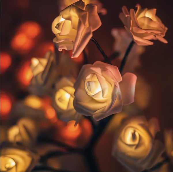 LumaRose — Eeuwige Gloed, Blijvende Liefde