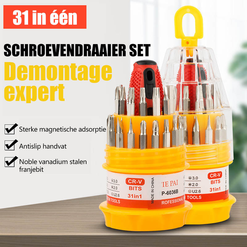 31-in-een schroevendraaierset