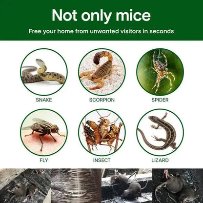 ZapCatch™ – Automatische vliegenval | 1+2 GRATIS