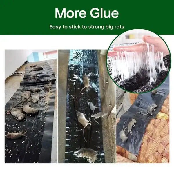 ZapCatch™ – Automatische vliegenval | 1+2 GRATIS