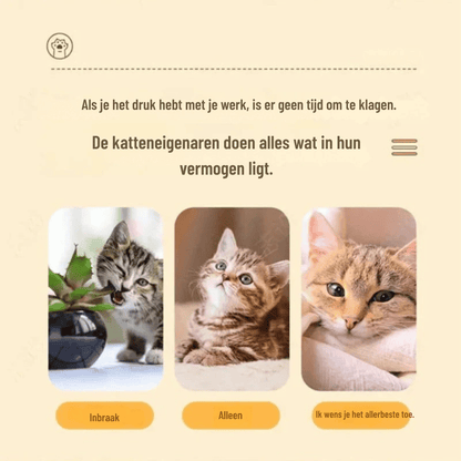 CatFury — Wilde Instinct Kattenspeelgoed | 50% KORTING