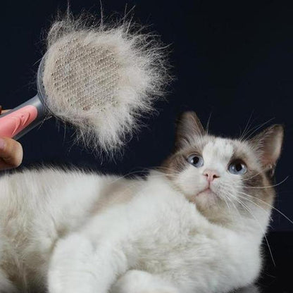 Dierenverzorgingskam voor honden en katten