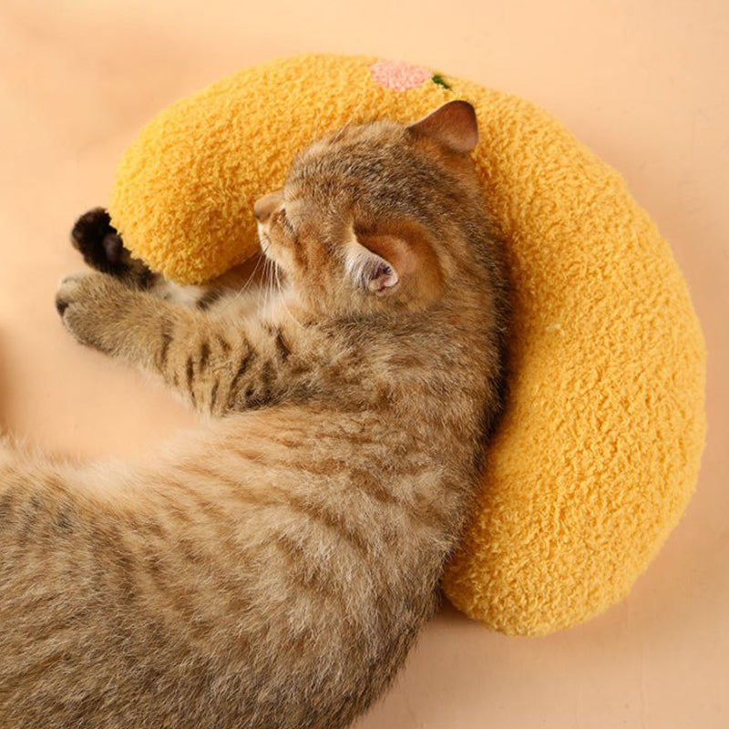 Heerlijk gezellig kussen voor katten