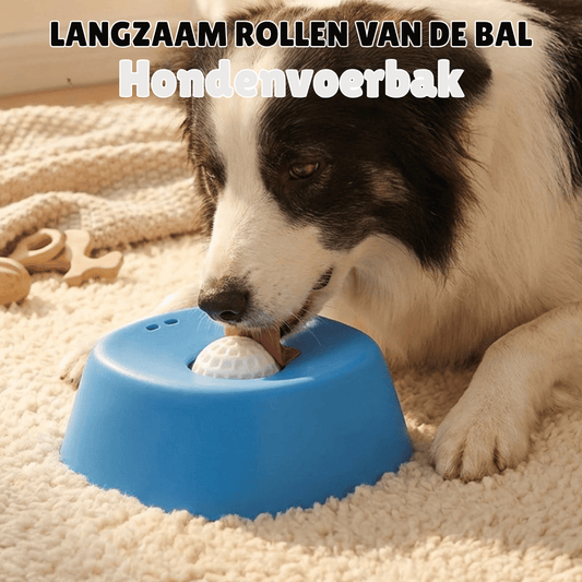 GlidePaw – Interactieve Voedingskom voor je huisdier | 50% KORTING