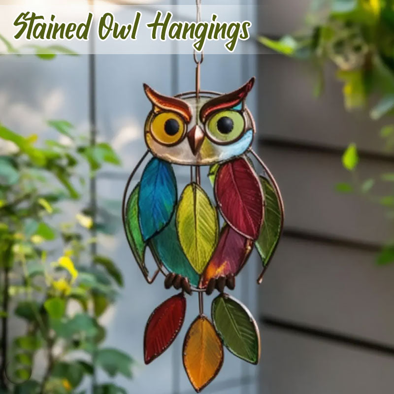 ColorOwl – Raamdecoratie met kleurrijk lichtspel | 1+1 GRATIS