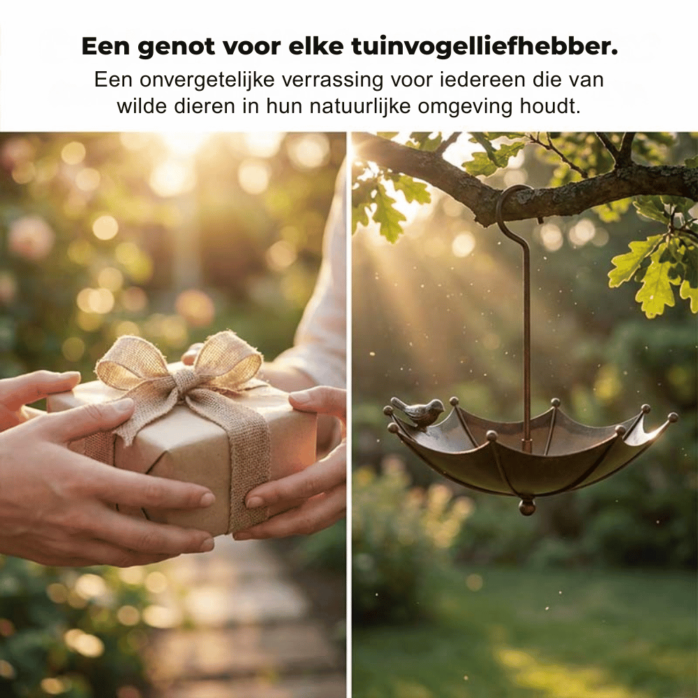 WildVogel — Vintage Vogelbad | 1+1 GRATIS