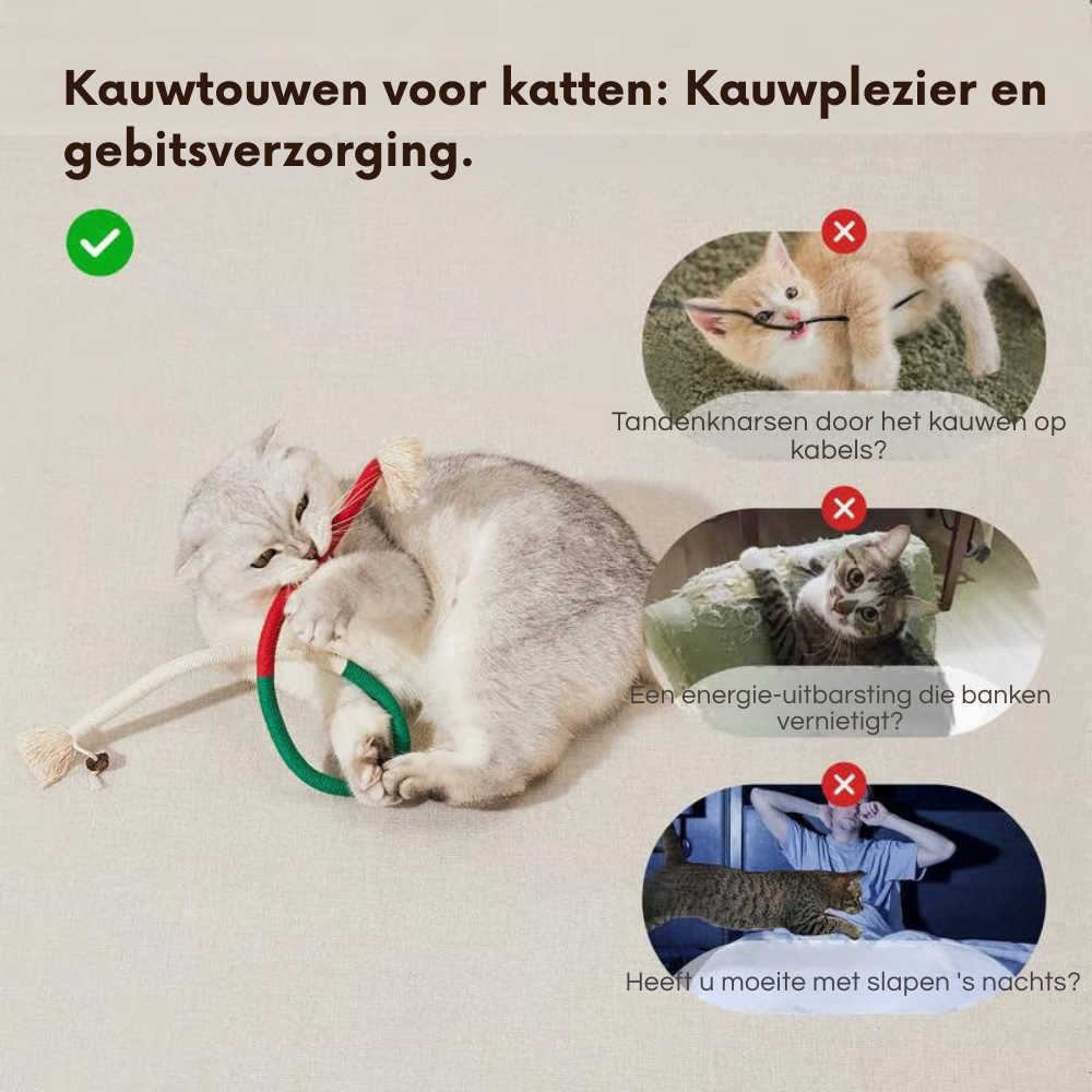 PurrPlay – Kauwspeeltjes voor katten |1+2 GRATIS