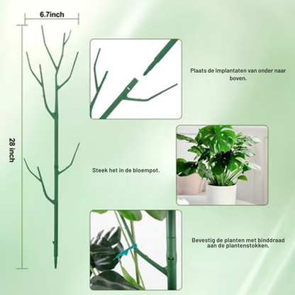 GreenGrow – Natuurlijke Plantensteun Groei | 50% KORTING