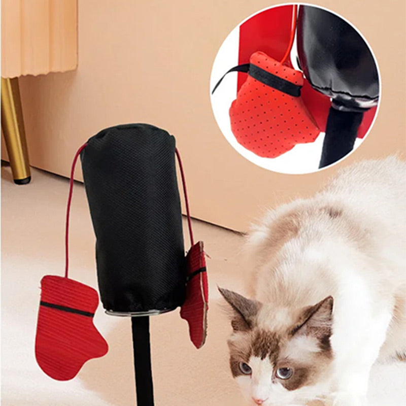 CatFury – Ontketen Wilde Speelsheid