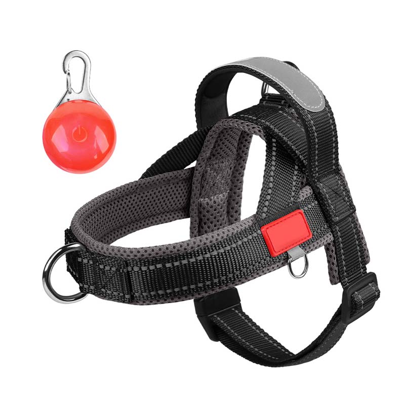 Total Comfort Harnas — Stressvrije, Veilige Wandelingen