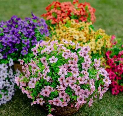 EverBliss — Kunstbloemen Decor | 1+1 GRATIS