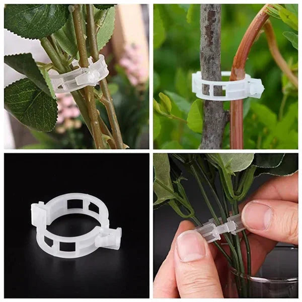 Ondersteuningsclips voor planten — Zachte bevestiging, Gezonde groei - 100 stuks