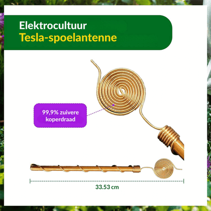 CopperCoil — Plant Energy Stake 3 stuks | 50% KORTING