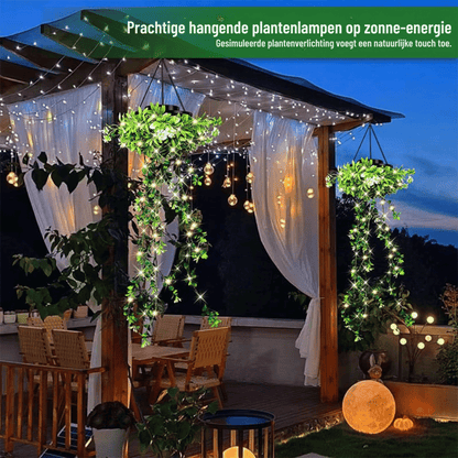 LumaVine — Zonverlichte Klimhanglamp | 1+1 GRATIS
