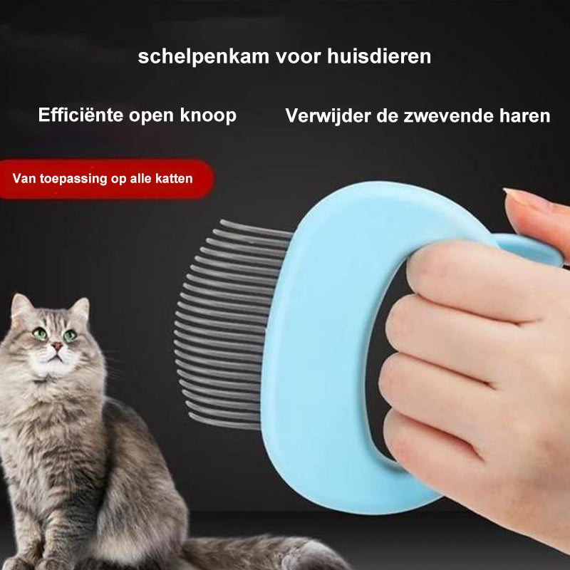 Massage & Trimplezier voor Kat