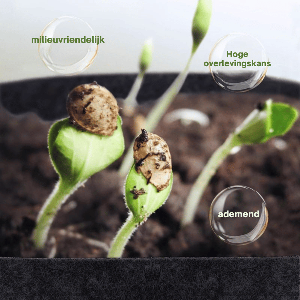 GeoRoot — Ademende Kweekzakken | 1+2 GRATIS