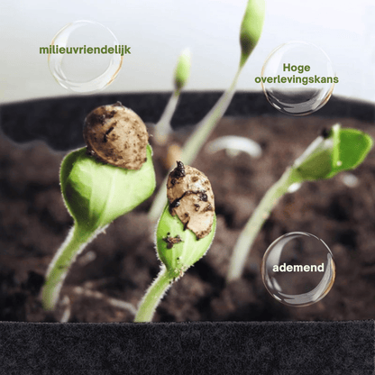 GeoRoot — Ademende Kweekzakken | 1+2 GRATIS